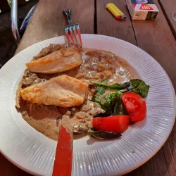 Local Brewery and Pub - Litvinov (Litvínov)