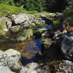 Jizera Mountains - Lomnice nad Popelkou