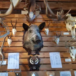 Museum of Lomnice nad Popelkou - Lomnice nad Popelkou