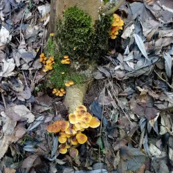 Popelka River - Lomnice nad Popelkou