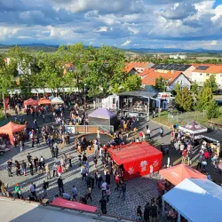 Louny Brewery - Louny