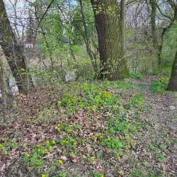 Labem River Walk - Lysá nad Labem