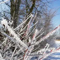 Labem River Walk - Lysá nad Labem