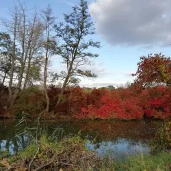 Labem River Walk - Lysá nad Labem
