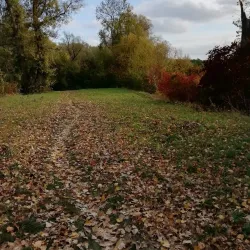 Labem River Walk - Lysá nad Labem