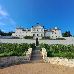 Lysá nad Labem Castle - Lysá nad Labem