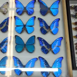 Lysá nad Labem Cultural Center - Lysá nad Labem