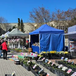 Lysá nad Labem Town Square - Lysá nad Labem