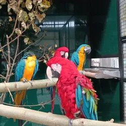Museum of Lysá nad Labem - Lysá nad Labem