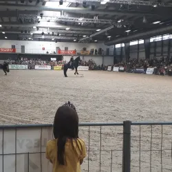 Museum of Lysá nad Labem - Lysá nad Labem