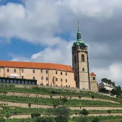 Melnicke Vinice Vineyard - Melnik