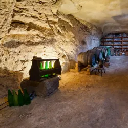 Melnik Regional Museum - Melnik