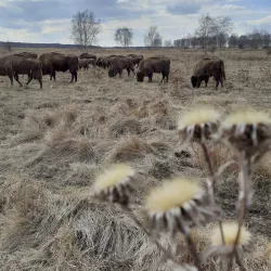 Milovice Nature Reserve - Milovice