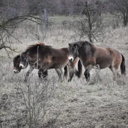 Milovice Nature Reserve - Milovice