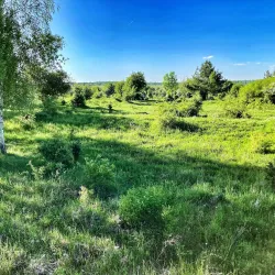 Milovice Nature Reserve - Milovice