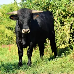 Milovice Nature Reserve - Milovice