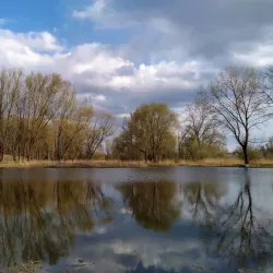 Pond near Milovice - Milovice