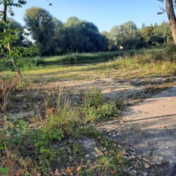 Pond near Milovice - Milovice