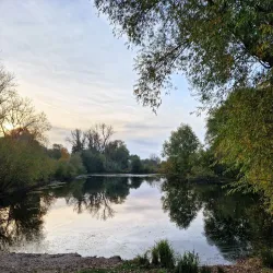 Pond near Milovice - Milovice