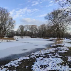 Pond near Milovice - Milovice
