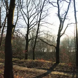 Pond near Milovice - Milovice