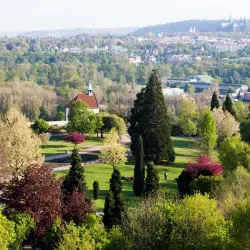 Botanical Garden of Mladá Boleslav - Mlada Boleslav