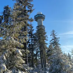 Brdy Hills Nature Reserve - Mníšek pod Brdy