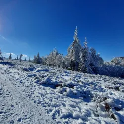 Brdy Hills Nature Reserve - Mníšek pod Brdy