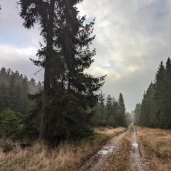 Brdy Hills Nature Reserve - Mníšek pod Brdy