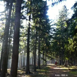 Brdy Hills Nature Reserve - Mníšek pod Brdy