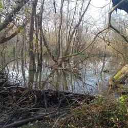 Kozí Hřbety Hiking Trail - Mníšek pod Brdy