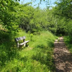 Kozí Hřbety Hiking Trail - Mníšek pod Brdy