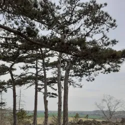 Kozí Hřbety Hiking Trail - Mníšek pod Brdy