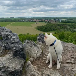 Kozí Hřbety Hiking Trail - Mníšek pod Brdy