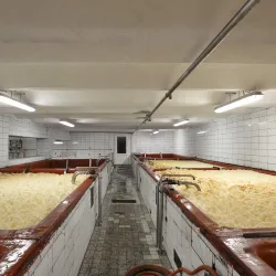 Vysoký Chlumec Brewery - Mníšek pod Brdy