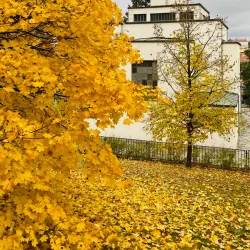 Church of St. Wenceslas - Modrice