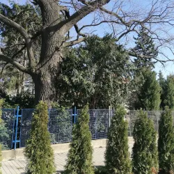 Modrice Town Square - Modrice