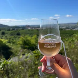 Traditional Moravian Wine Cellars - Modrice