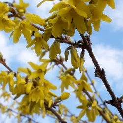 Holice Town Park - Moravany u Holic