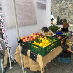 Local Agricultural Markets - Moravany u Holic