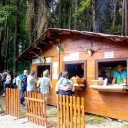 Local Folk Festivals - Moravany u Holic