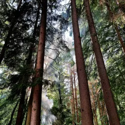 Local Folk Festivals - Moravany u Holic