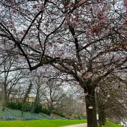 Memorial to the Victims of Mining - Most