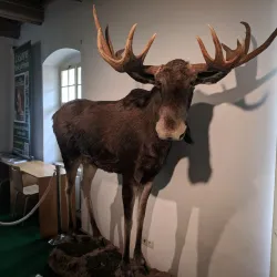 Museum of the Olomouc Region - Město Libavá