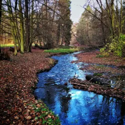 The English Park (Anglický park) - Nachod
