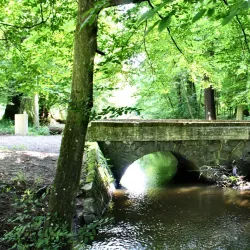 The English Park (Anglický park) - Nachod