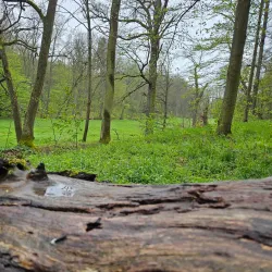 The English Park (Anglický park) - Nachod