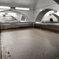 The Nachod Brewery - Nachod