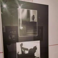 Piarist Monastery and Church - Novy Jicin