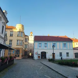 Town Walls and Gates - Novy Jicin
